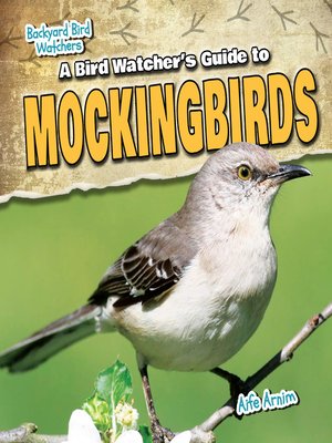 cover image of A Bird Watcher's Guide to Mockingbirds